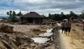 Korban Meninggal Hampir Capai 1.000, Kenapa Banjir dan Longsor Sumatera Belum Ditetapkan Jadi Bencana Nasional?
