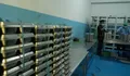Viral eks akuntan SPPG Sukabumi bongkar dugaan mark up pengadaan beras program MBG