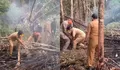 Viral momen Gubernur Kalteng Agustiar Sabran ke lokasi karhutla usai ramai dikritik ihwal penanganan bencana