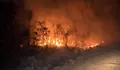 3 Hari padamkan api karhutla, warga Papua hadapi ancaman di tanah leluhur