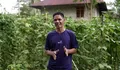 Program MBG Selamatkan Petani NTT: Hasil Panen Terserap, Pendapatan Naik Tiga Kali Lipat