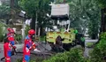 Pohon Tumbang Hingga Mobil Terperosok di Jaksel Berhasil Dievakuasi
