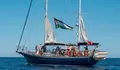 Heboh Penculikan 12 Aktivis Kemanusiaan di Kapal Bantuan Gaza yang Dibajak oleh Pasukan Militer Israel 