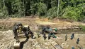 Operasi Tambang Emas Ilegal, Gakkum Kehutanan Amankan Dua Ekskavator di Hutan Parigi Moutong