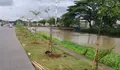 Gerakan 'Banten Teduh,Tangerang Sejuk' Tanam 5.000 Pohon