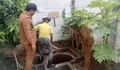 Parigi Baru Perkuat Pengelolaan Sampah, Teba Organik dan Biopori Digencarkan