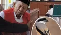 Viral Kakek di Situbondo Divonis 5 Bulan Penjara usai Jual Burung Cendet Seharga Rp30 Ribu demi Bertahan Hidup