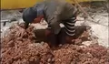 Dikeluhkan Warga Soal Galian, PT PITS Akui Belum Kantongi Rekomtek