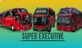 Update Januari 2026: Tarif, Jadwal dan Fasilitas Bus Super Executive PO Sinar Dempo Jakarta–Lubuk Linggau
