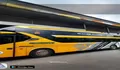 Info Jadwal, Estimasi Harga dan Cara Pesan Tiket Online Bus PO Handoyo Rute Magelang–Purwokerto Februari 2026