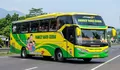 Jadwal Bus Family Raya Ceria Padang – Jakarta 11-20 April 2026 Lengkap Jam Berangkat, Estimasi Tiba, dan Cara Pesan Tiket Online