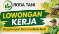 Info Pencari Kerja NTT! Loker Staff dan Sales Roda Tani Wilayah Kupang Buat Lulusan SMA / SMK Sederajat