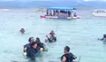 Serunya Snorkeling dan Diving di Pantai Tanjung Karang Donggala, Surganya Pencinta Bawah Laut