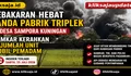 Kebakaran Hebat Landa Pabrik Triplek di Desa Sampora Kuningan, Damkar Kerahkan Sejumlah Unit Mobil Pemadam