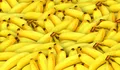 7 Efek Samping Makan Pisang Berlebihan