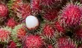 Inilah Manfaat Buah Rambutan Buat Kesehatan Tubuh, Ketahui Juga Apa Efek Sampingnya