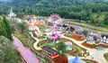 Pemilik Hibisc Fantasy Puncak Siapa? Heboh Tempat Wisata di Bogor yang Dibongkar Paksa Dedi Mulyadi