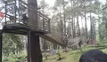 Setelah Tutup Sepekan, Wisata Hutan Pinus Segera Dibuka