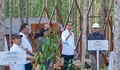   Bakal Jadi Smart Forest City, Jokowi Tanam Pohon di IKN