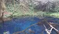  Mirip Danau Kaco Kerinci, Telaga Biru Merangin, Permata Baru di Tengah Hutan Belantara