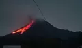 Awan Panas Guguran Gunung Merapi Kembali Terjadi