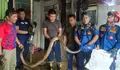 Ngeri! Ular Sanca Keluar Dari Saluran Air Masuk Dapur Teror Warga Cibadak Sukabumi