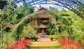Nikmati Keindahan Alam di Kebun Mawar Situhapa, Destinasi Wisata Instagramable di Garut