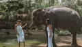 Pengalaman Tak Terlupakan, Yuk Jelajahi Dunia Satwa di Lombok Wildlife Park