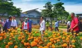 Cari Destinasi Wisata Keluarga di Purwakarta, Urban Farming Pilihan Tepatnya!