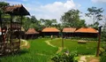 Sawah Segar Sentul, Tempat Melarikan Diri di Pedesaan di Bogor