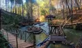 Hutan Pinus Rahong, Pesona Alam yang Menenangkan di Pinggir Bandung