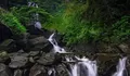 Curug Ciherang, Air Terjun yang Punya Rumah Pohon dan Jembatan Gantung