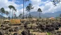 Bukit Tegal Malaka: Surga Alam dengan Panorama Savana di Garut