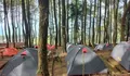 Eksplorasi Talaga Surian Camp Park: Wisata Alam, Camping, dan Spot Foto Instagramable