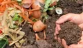 Cara Membuat Pupuk Kompos Sendiri dari Limbah Rumah Tangga