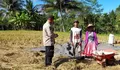 Polisi Pantau Tanaman Padi Petani di Pasrujambe Lumajang, Dukung Program Ketahanan Pangan