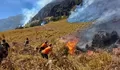 Gunung Bromo Terbakar, Api di Blok Jantur Makin Dekati Rumah Warga