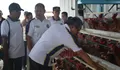 Sekjen Imipas Cek Peternakan Lapas Kendal, Lihat Langsung Produksi Telur Warga Binaan