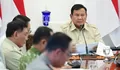Rapat terbatas dengan  Presiden, BNPB beberkan kondisi karhutla di enam Provinsi