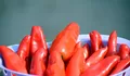 Jangan Kaget! Segini Harga Cabai Rawit Merah di Blitar Hari Ini