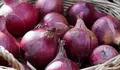 Harga Bawang Merah Blitar di Bawah Rata-rata Jatim, Segini Selisihnya