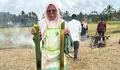 Budaya Minangkabau Jadi Daya Tarik Desa Wisata Fair III di Padang Panjang