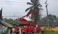 Cegah Pohon Tumbang Timpa Sekolah, BPBD Agam Tebang 3 Pohon di SDN 04 Sikabu