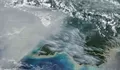 NASA Pantau Karhutla Papua dari Satelit, Emisi Karbon Tembus 35 Juta Ton
