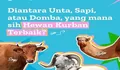 Idul Adha 2024: Diantara Unta, Sapi, atau Domba, yang Mana Hewan Kurban Terbaik? Cek Pendapat 4 Imam!