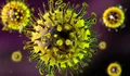 Heboh Wabah Hantavirus di Kapal Pesiar MV Hondius, WHO Sebut Risiko Rendah