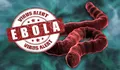 Status Darurat Global Ditetapkan WHO, Wabah Ebola di Afrika Jadi Perhatian Dunia