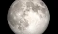 Fenomena Super Moon Ancam Pesisir NTT, BMKG Ingatkan Potensi Banjir Rob