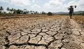 Mendagri Tito Karnavian Minta Kepala Daerah Siaga Hadapi El Nino 2026, Antisipasi Karhutla hingga Krisis Air