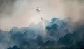 Ledakan Amunisi Sisa Perang Dunia II Gegerkan Prancis, Picu Kebakaran Hutan di Gironde